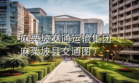 麻栗坡交通运输集团（麻栗坡县交通图）