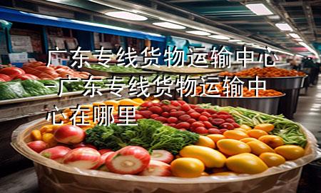 广东专线货物运输中心-广东专线货物运输中心在哪里