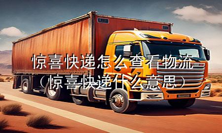 惊喜快递怎么查看物流(惊喜快递什么意思)