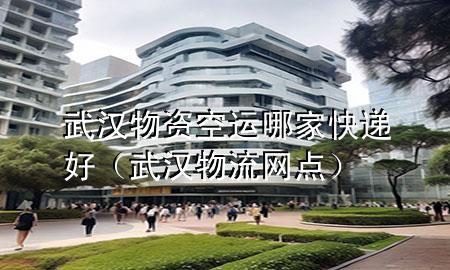 武汉物资空运哪家快递好(武汉物流网点)
