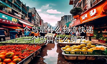 一个鸟是什么物流快递,一个鸟叫什么牌子