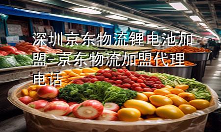 深圳京东物流锂电池加盟-京东物流加盟代理电话