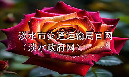 淡水市交通运输局官网(淡水政府网)