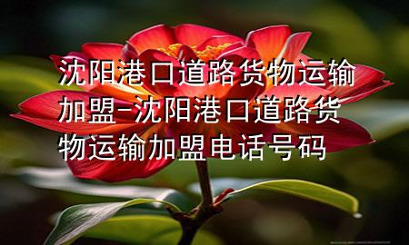 沈阳港口道路货物运输加盟-沈阳港口道路货物运输加盟电话号码