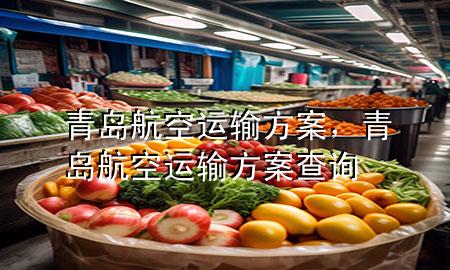 青岛航空运输方案,青岛航空运输方案查询