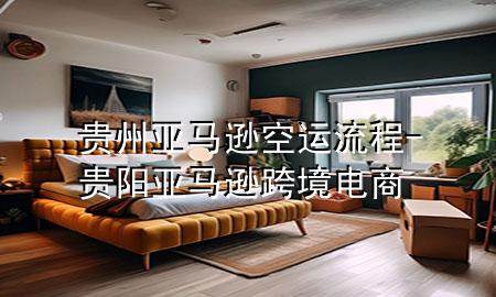 贵州亚马逊空运流程-贵阳亚马逊跨境电商