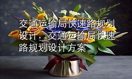 交通运输局快速路规划设计,交通运输局快速路规划设计方案