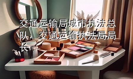 交通运输局城市执法总队,交通运输执法局局长