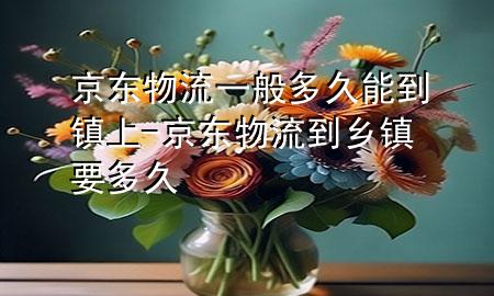 京东物流一般多久能到镇上-京东物流到乡镇要多久