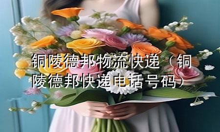 铜陵德邦物流快递(铜陵德邦快递电话号码)