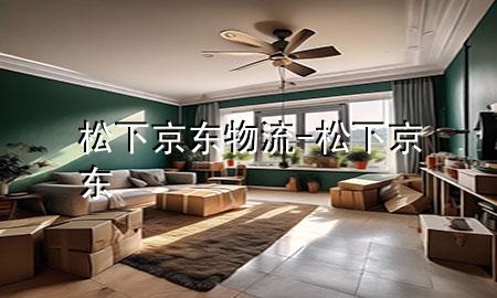 松下京东物流-松下 京东
