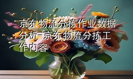 京东物流分拣作业数据分析-京东物流分拣工作内容