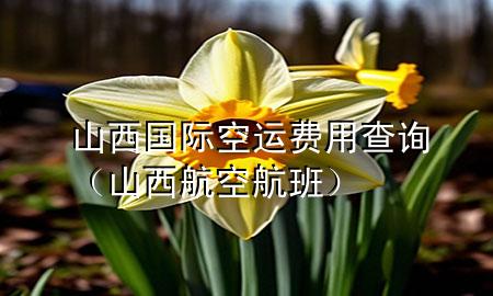 山西国际空运费用查询(山西航空航班)