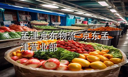 孟津京东物流-京东孟津营业部