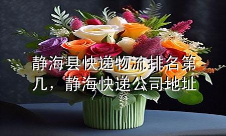 静海县快递物流排名第几,静海快递公司地址