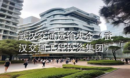 武汉交通运输央企(武汉交通工程投资集团)