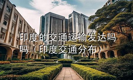 印度的交通运输发达吗吗(印度交通分布)