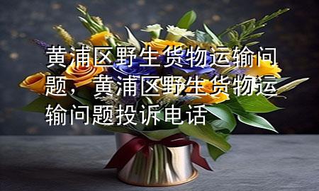 黄浦区野生货物运输问题,黄浦区野生货物运输问题投诉电话