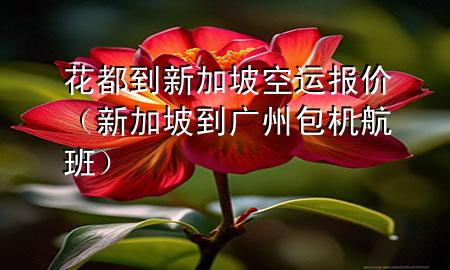 花都到新加坡空运报价(新加坡到广州 包机航班)