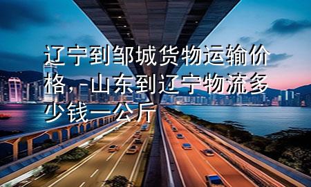 辽宁到邹城货物运输价格,山东到辽宁物流多少钱一公斤