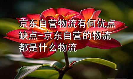 京东自营物流有何优点缺点-京东自营的物流都是什么物流