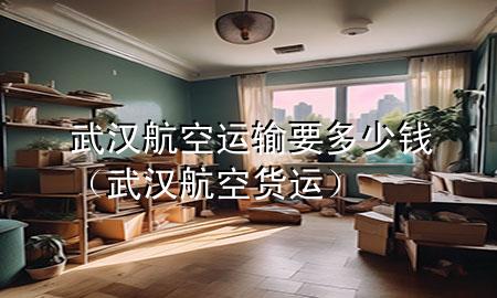 武汉航空运输要多少钱(武汉航空货运)