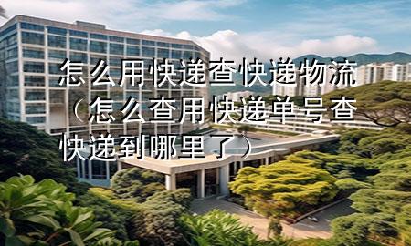 怎么用快递查快递物流(怎么查用快递单号查快递到哪里了)