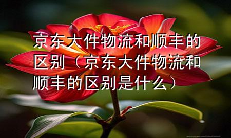 京东大件物流和顺丰的区别(京东大件物流和顺丰的区别是什么)