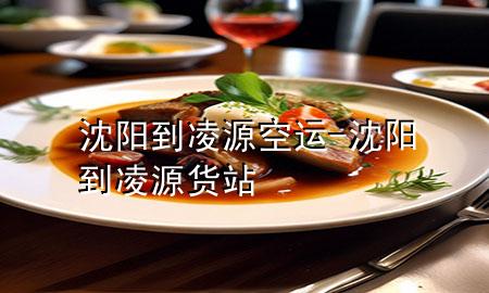 沈阳到凌源空运-沈阳到凌源货站
