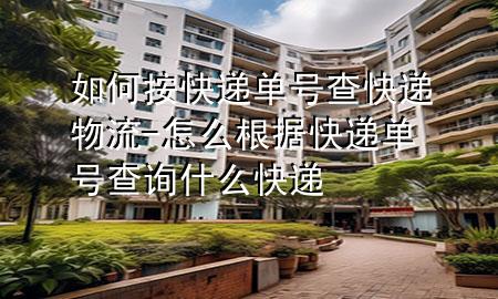 如何按快递单号查快递物流-怎么根据快递单号查询什么快递