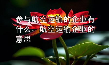 参与航空运输的企业有什么,航空运输企业的意思