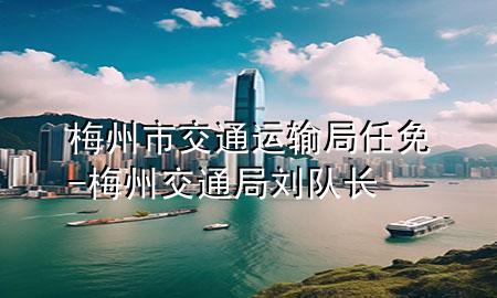 梅州市交通运输局任免-梅州交通局刘队长