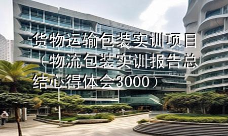 货物运输包装实训项目(物流包装实训报告总结心得体会3000)