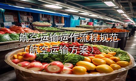 航空运输运作流程规范(航空运输方案)