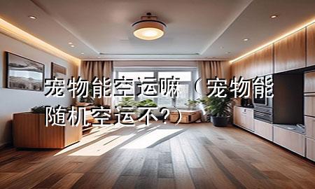 宠物能空运嘛(宠物能随机空运不?)