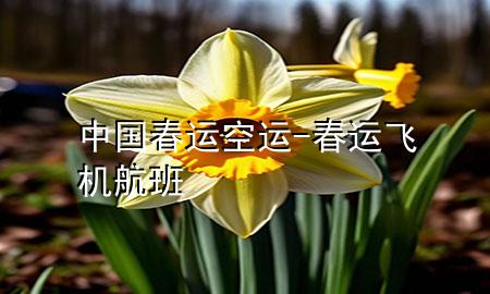 中国春运空运-春运飞机航班