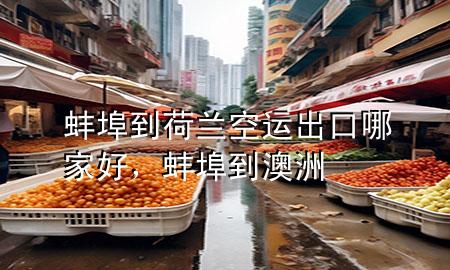 蚌埠到荷兰空运出口哪家好,蚌埠到澳洲