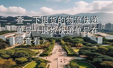 查一下退货的物流快递单号(退货快递单号在哪查看)