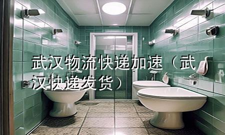武汉物流快递加速(武汉快递发货)