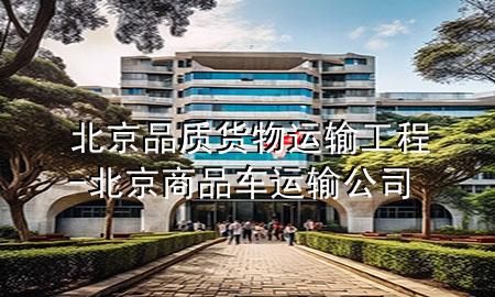北京品质货物运输工程-北京商品车运输公司