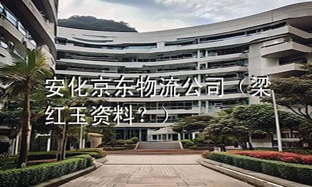 安化京东物流公司(梁红玉资料?)