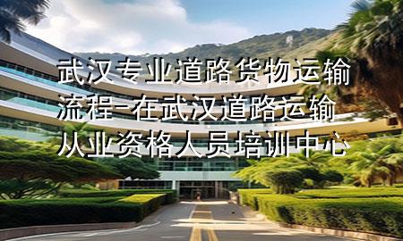 武汉专业道路货物运输流程-在武汉道路运输从业资格人员培训中心