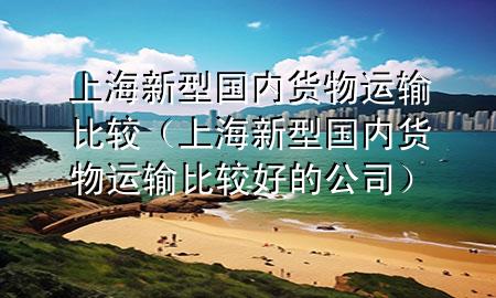 上海新型国内货物运输比较(上海新型国内货物运输比较好的公司)