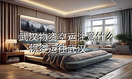 武汉物资空运注意什么,物资运往武汉