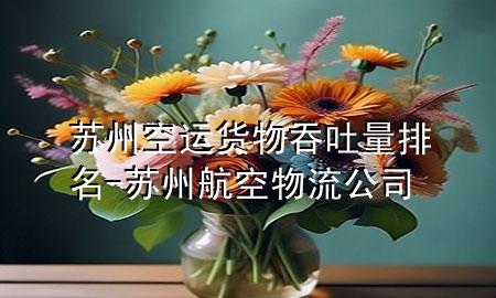 苏州空运货物吞吐量排名-苏州航空物流公司