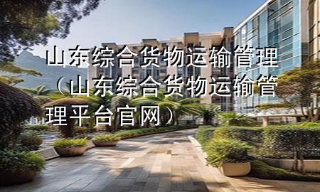 山东综合货物运输管理(山东综合货物运输管理平台官网)