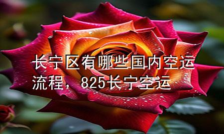 长宁区有哪些国内空运流程,825长宁空运