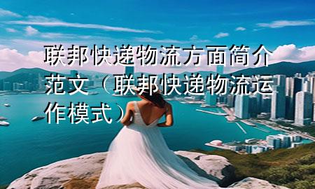 联邦快递物流方面简介范文(联邦快递物流运作模式)