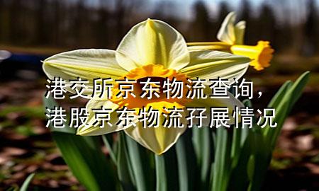 港交所 京东物流查询,港股京东物流孖展情况