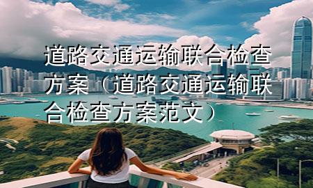 道路交通运输联合检查方案(道路交通运输联合检查方案范文)